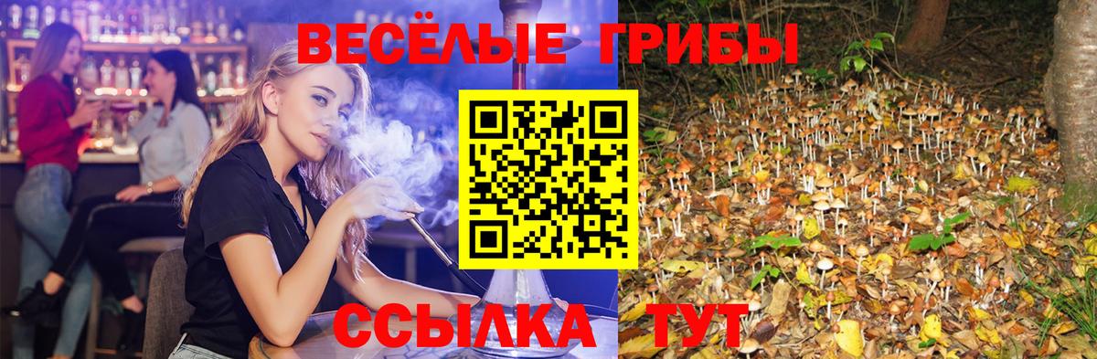 Псилоцибиновые грибы GOLDEN TEACHER  Галлюциногенные грибы Psilocybe  Вход с VPN  Озёры 